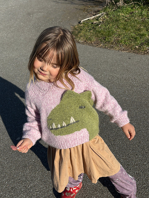 Dinosaur Sweater Knitting Pattern
