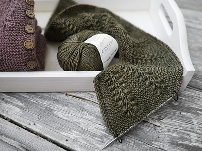 Baby Fern Cardigan Knitting Pattern