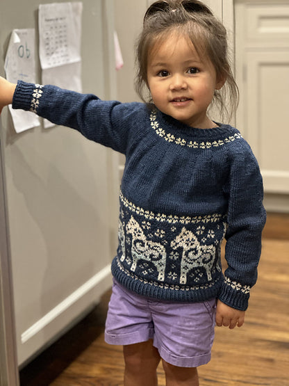 Kids Sweater Knitting Pattern