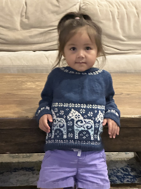 Kids Sweater Knitting Pattern