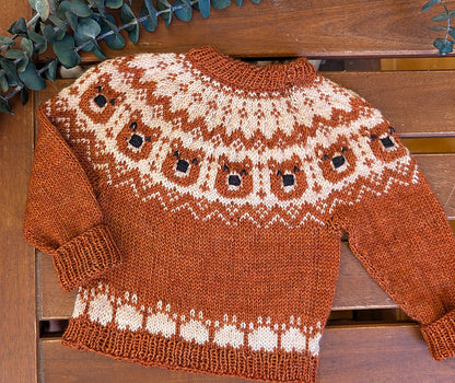 Baby Sweater & Pants Knitting Pattern