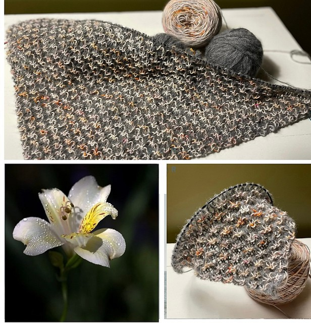 Lace Shawl Knitting Pattern