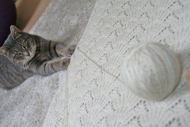 Seashell Blanket Knitting Pattern