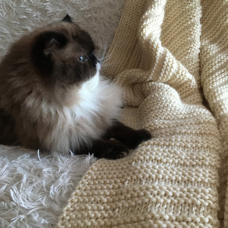 Beginner Throw Knitting Pattern