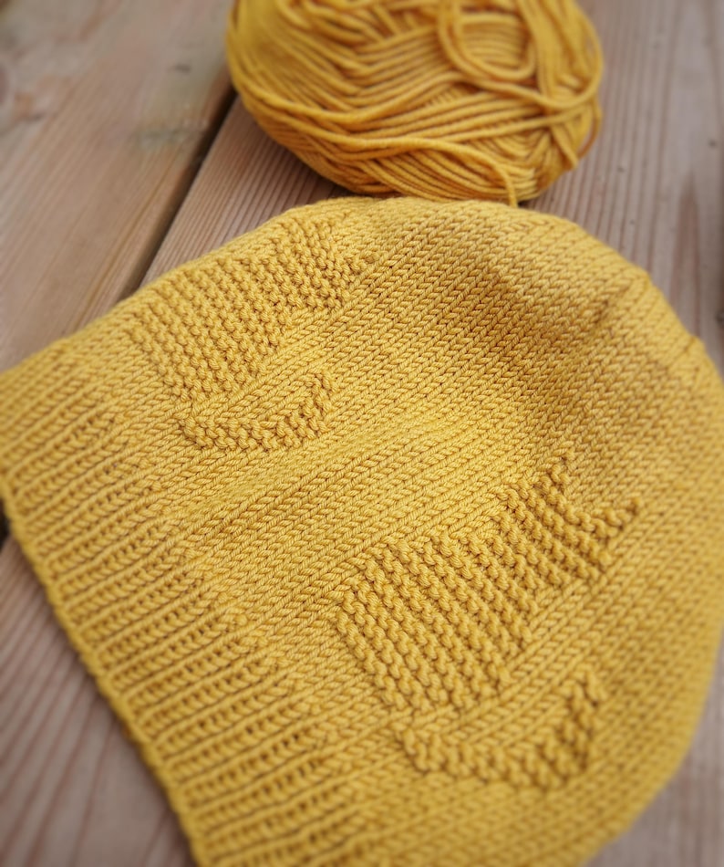 Cat Beanie Knitting Pattern