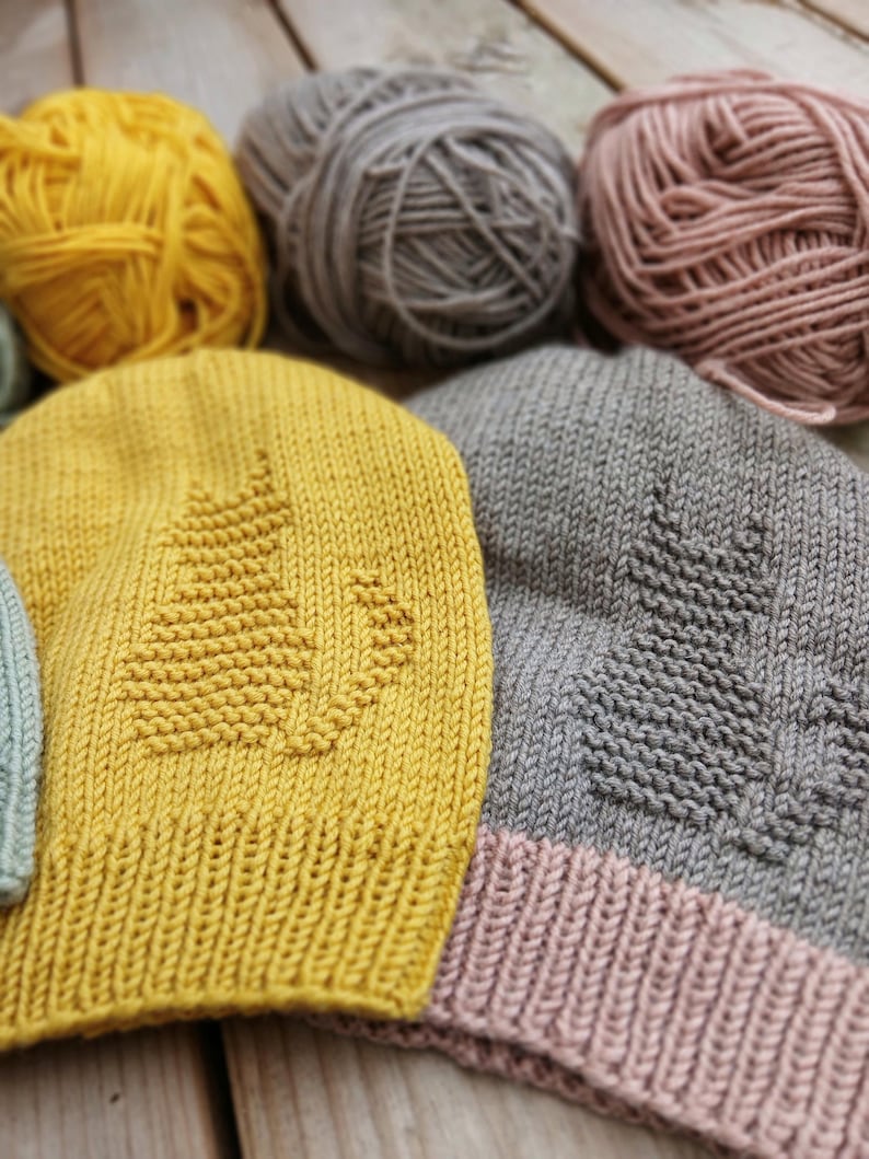 Cat Beanie Knitting Pattern