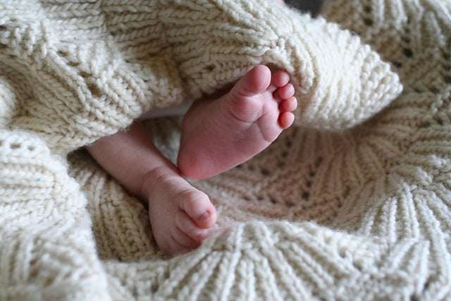 Seashell Blanket Knitting Pattern